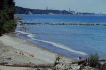 View north along the beach